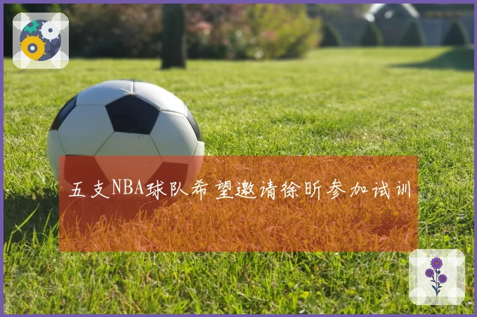 五支NBA球队希望邀请徐昕参加试训